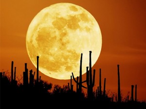 19 martie cea mai mare luna pe cer