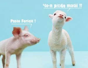paste sau pasti fericit