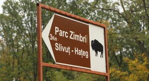 Zimbraria Hateg - Slivut